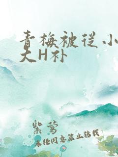 青梅被从小摸到大H补