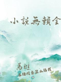 小说无赖金仙