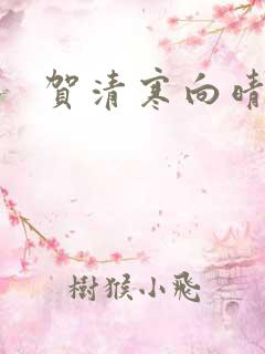 贺清寒向晴小说