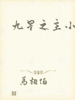 九星之主小说