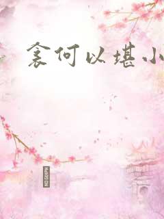 衾何以堪小说