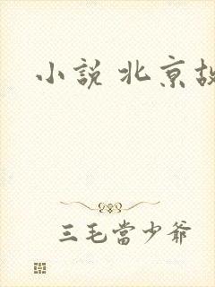 小说 北京故事