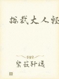 总裁大人轻一点