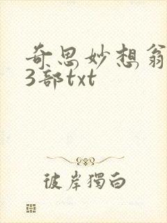 奇思妙想翁乱13部txt