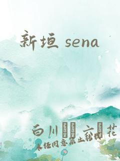 新垣 sena