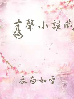 有声小说藏地密码