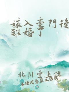 嫁入豪门后我又离婚了