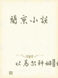 兰京小说