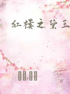 红楼之黛玉之弟