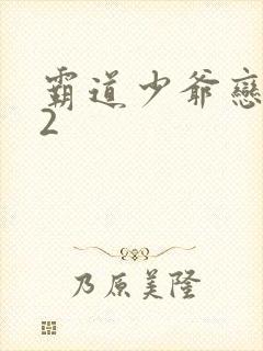 霸道少爷恋上我2