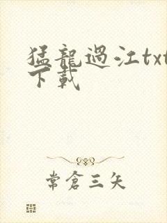 猛龙过江txt下载