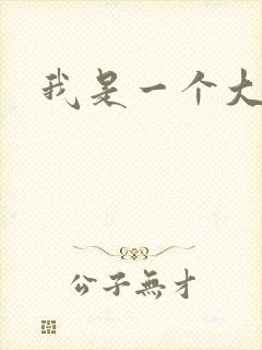 我是一个大盗贼