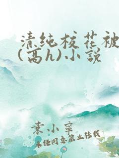 清纯校花被调教(高h)小说