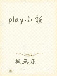 play小说