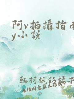阿v拍摄指南by小说