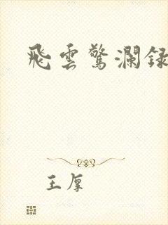 飞云惊澜录