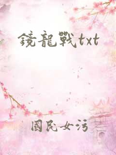 镜龙战txt