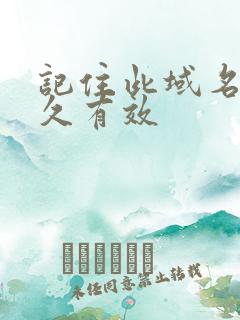 记住此域名记永久有效