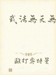 武法无天无弹窗