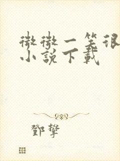 微微一笑很倾城小说下载