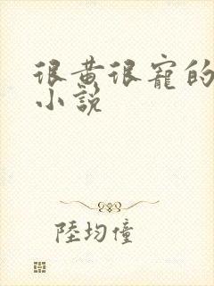 很黄很宠的总裁小说