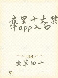 夜里十大禁用软件app入口