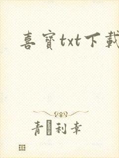 喜宝txt下载
