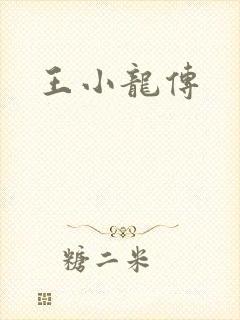 王小龙传