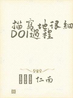 描写地很细致的DOI过程