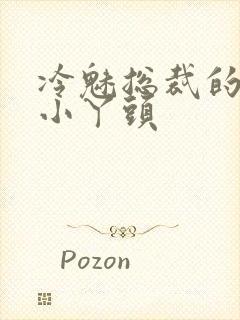 冷魅总裁的纯纯小丫头