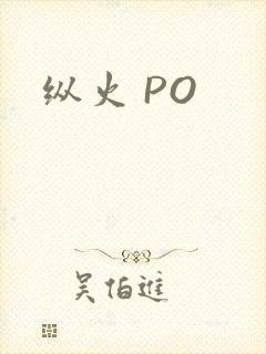 纵火 PO