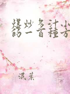 爆炒多汁小美人的一百种方法