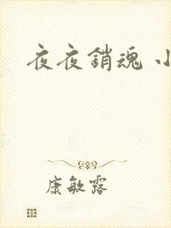 夜夜销魂 小说
