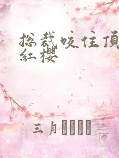 总裁咬住顶端的红樱