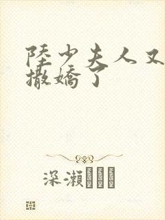 陆少夫人又双叒撒娇了