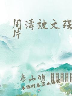 周涛被文强睡图片