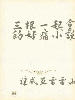 三根一起会坏掉的好痛小说