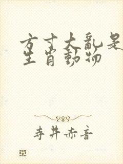 方寸大乱是什么生肖动物