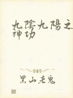 九阴九阳之阴阳神功