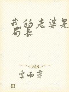 我的老婆是警察局长