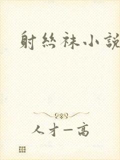 射丝袜小说