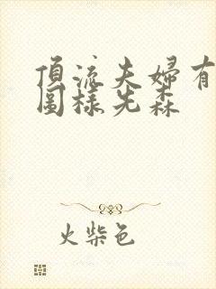 顶流夫妇有点甜图样先森