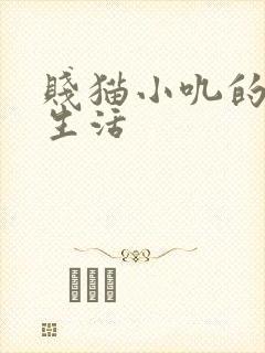 贱猫小叽的幸福生活