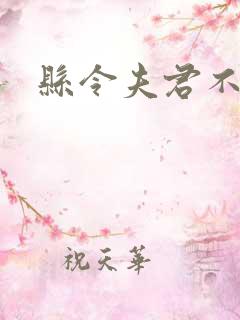 县令夫君不升堂