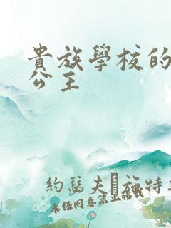 贵族学校的双面公主