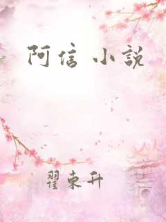 阿信 小说