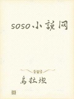 soso小说网