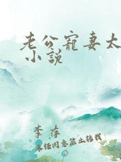 老公宠妻太甜蜜 小说