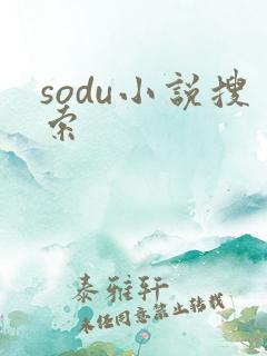 sodu小说搜索