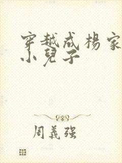 穿越成杨家将最小儿子